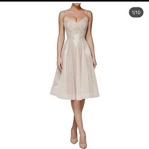 Michele Laperle silver with nude underlay. Size 12.  love this dress!